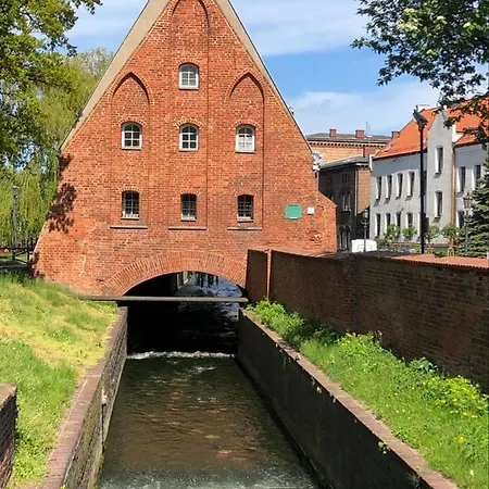 Great Rajska 8